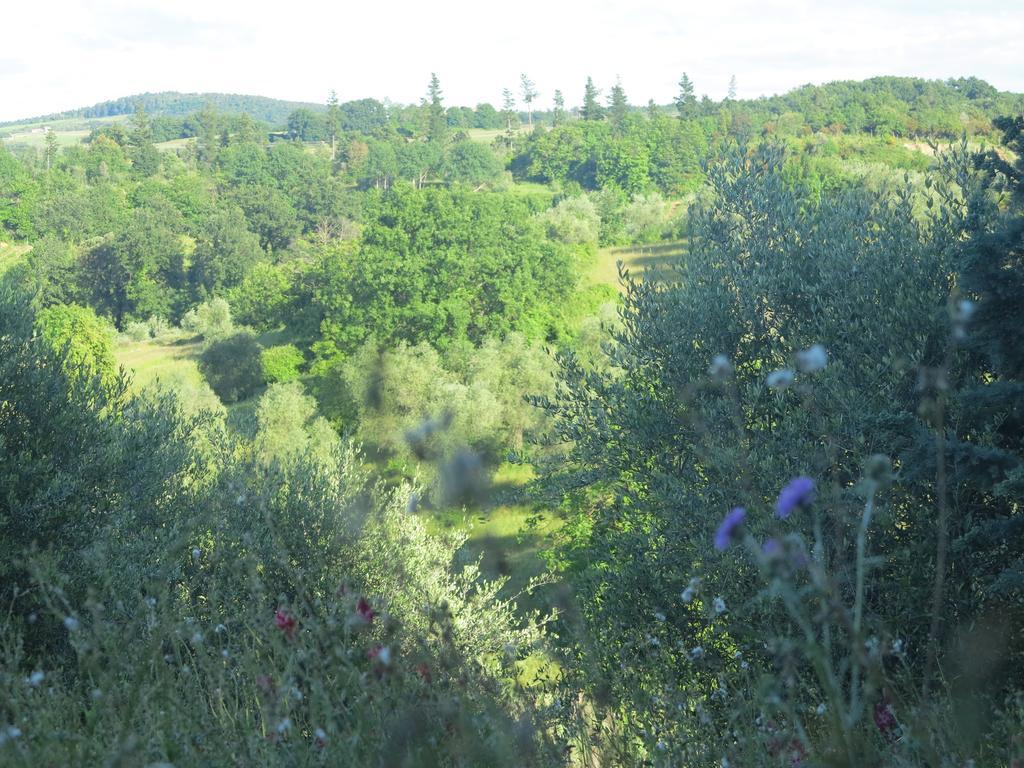 Da Tilli Alla Fornace - Agriturismo Montaione Exterior foto